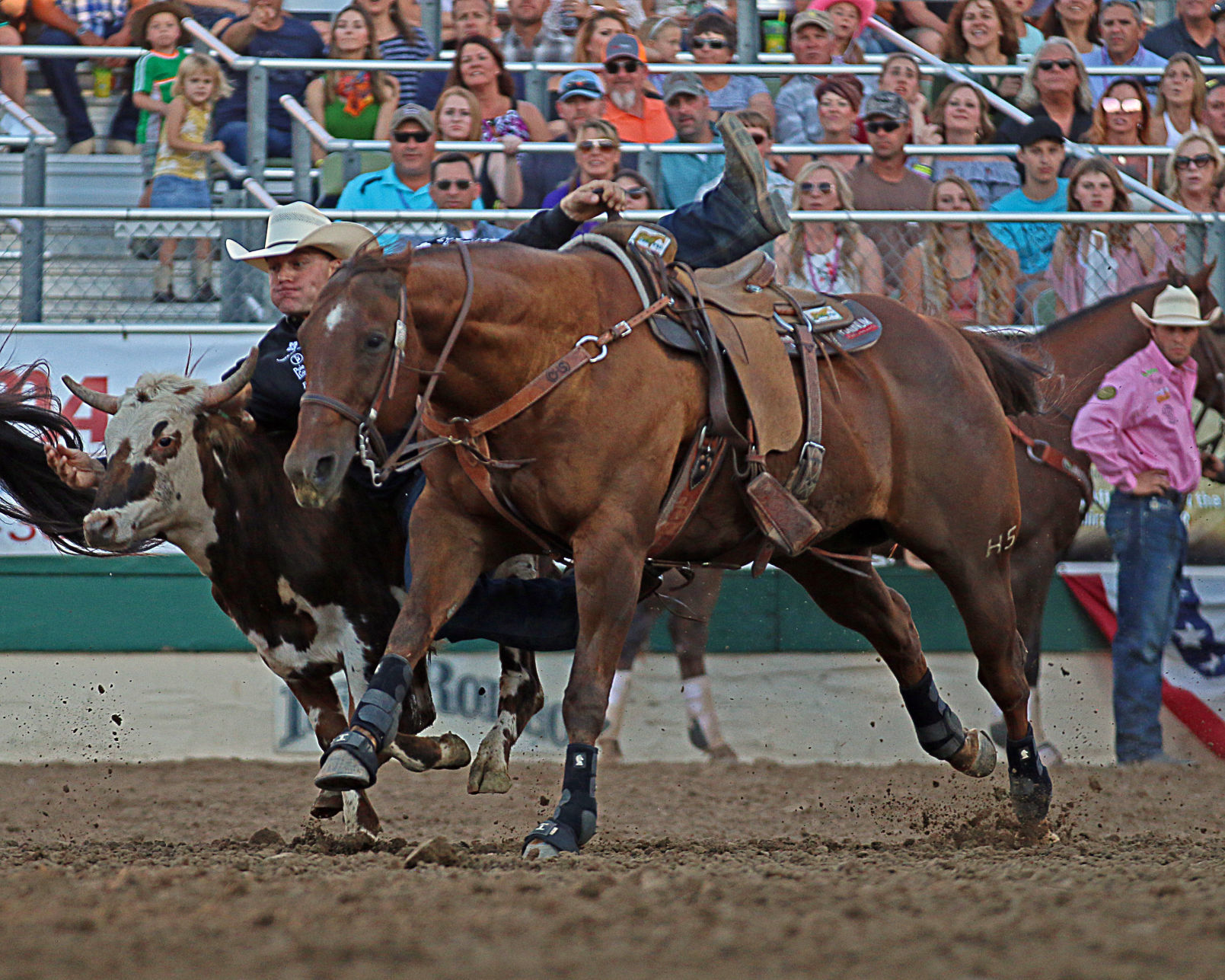 062618-elk-spt-reno-rodeo-dakota-eldridge-05.jpg